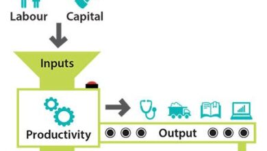 How Engineering Systems Division Contributes To Economic Growth