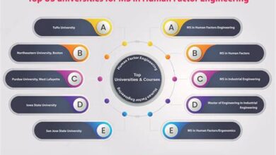 The Role Of Human Factors In Engineering Systems Division